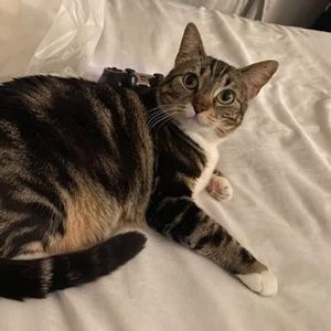 Meet your Posher, Walter